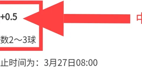 马雷斯卡剖析：帕尔默整场对决可期？首发阵容揭晓在即！